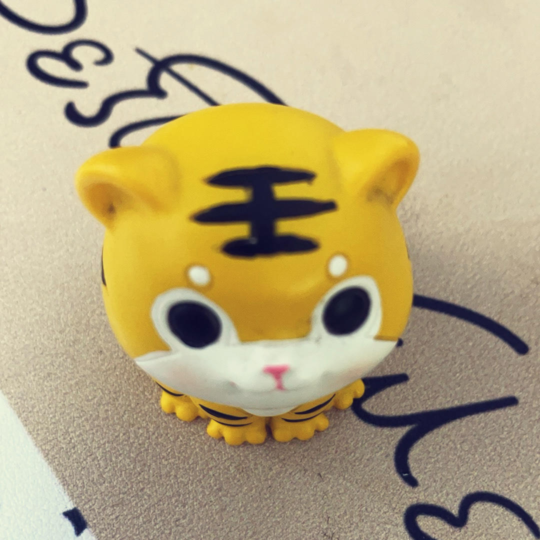 tigerX