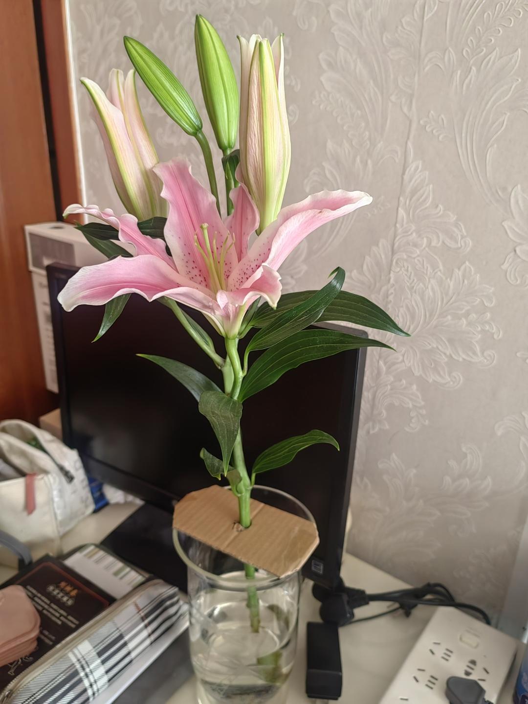 花花 🌸🌺🌼🏵️🌻🌹🌷💐