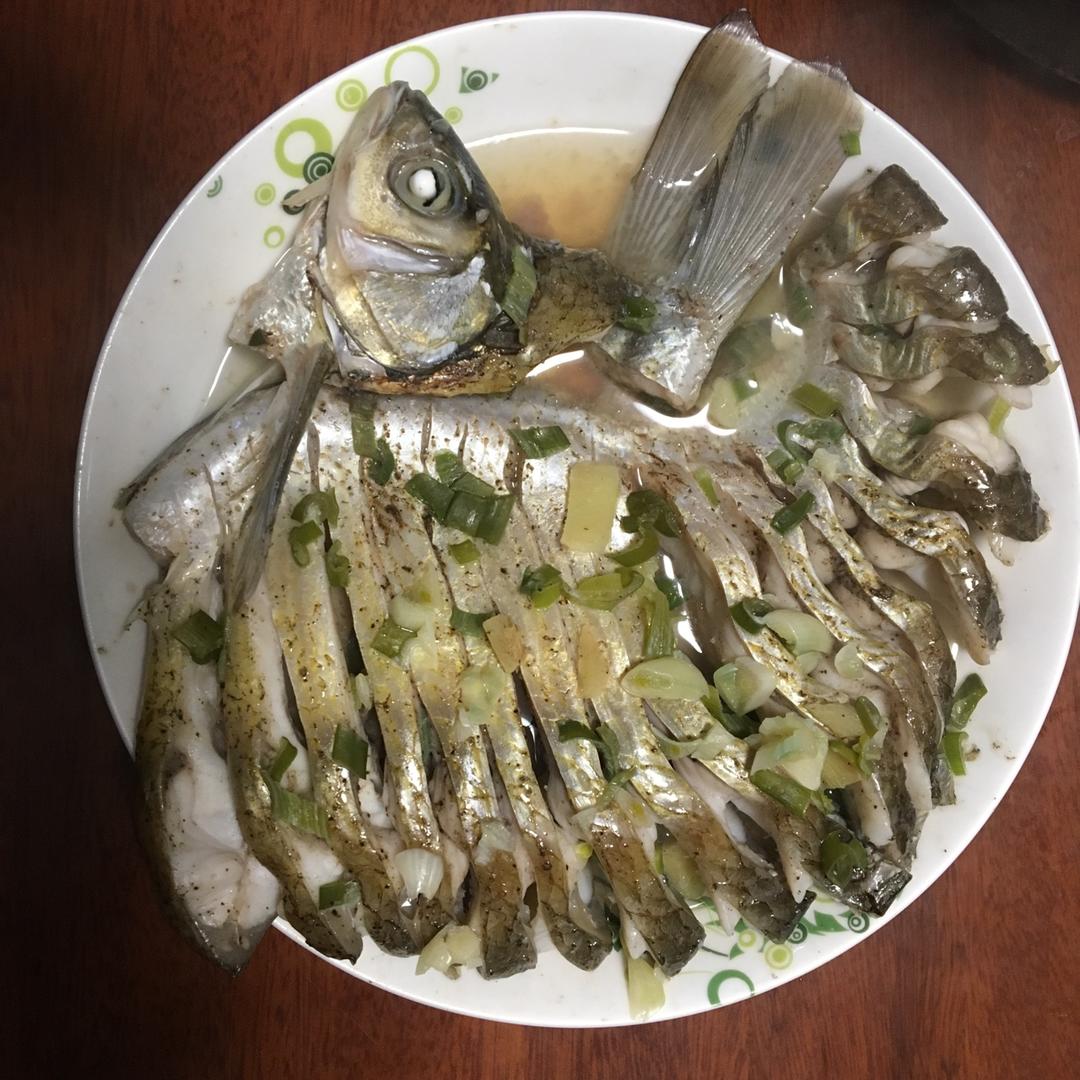 孔雀开屏鱼.