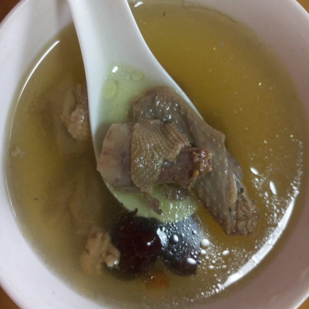 党参黄芪炖鸽子