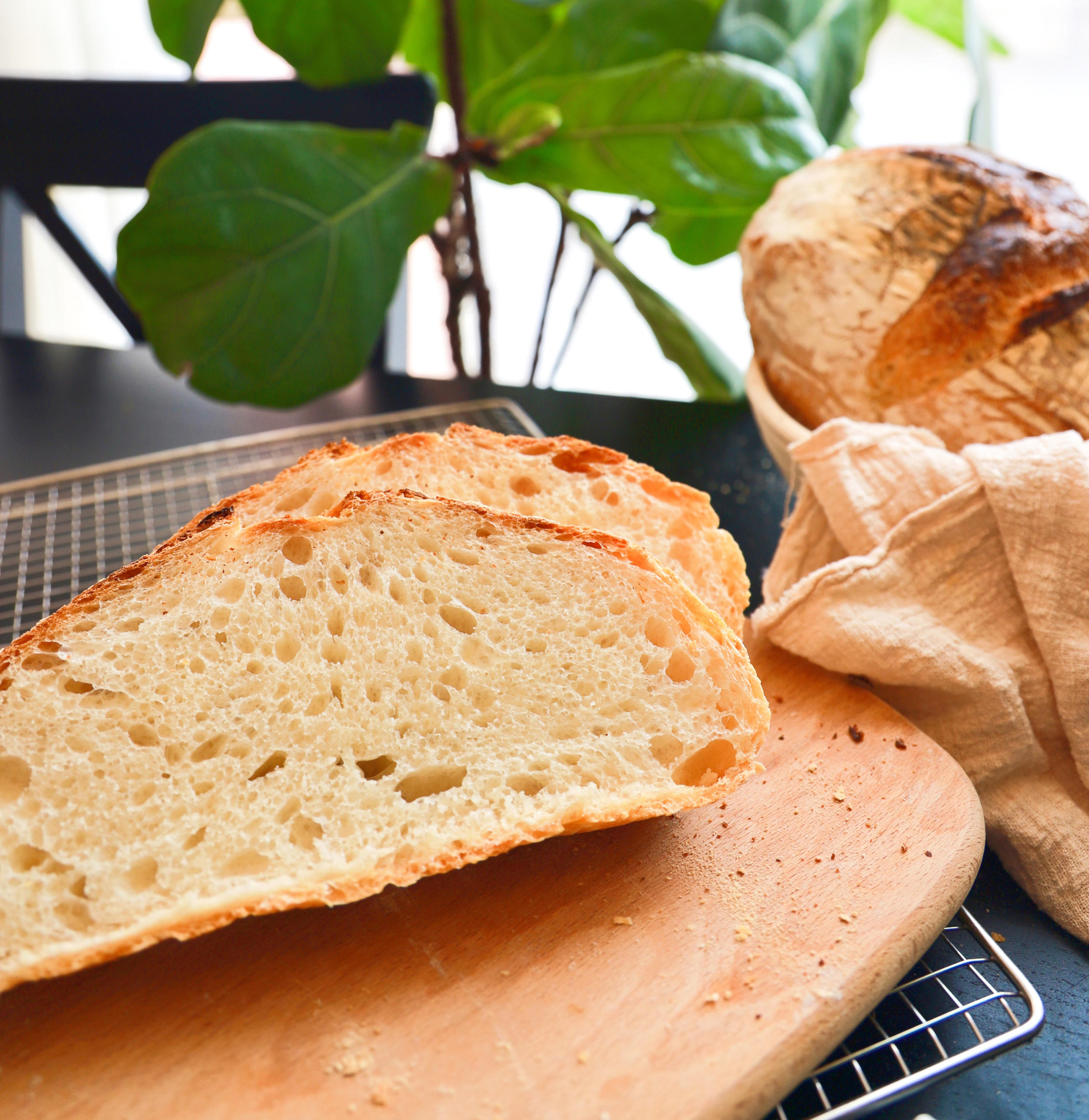 #100个欧包练习——免揉法式乡村面包
