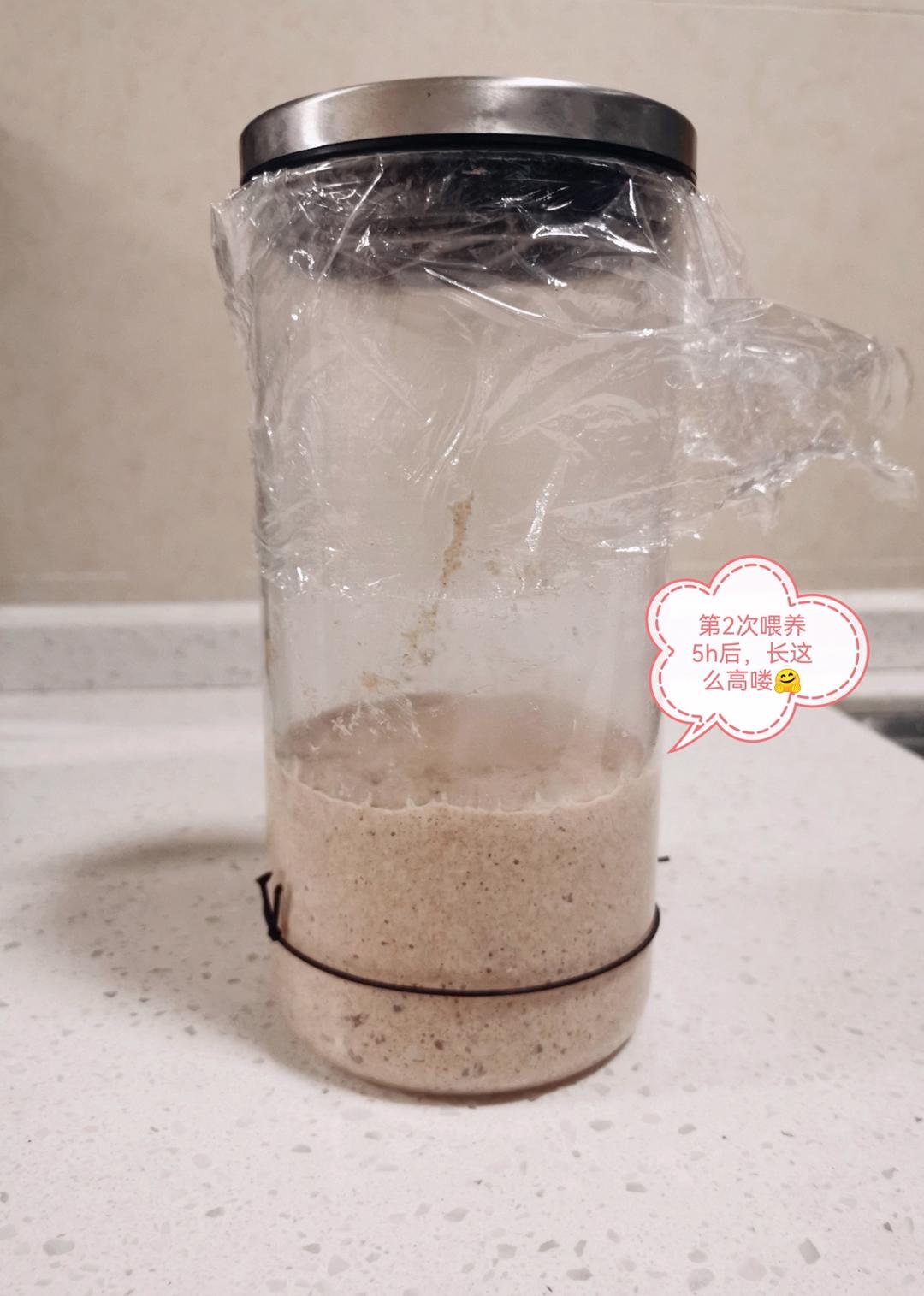 天然酵种宝宝's Life