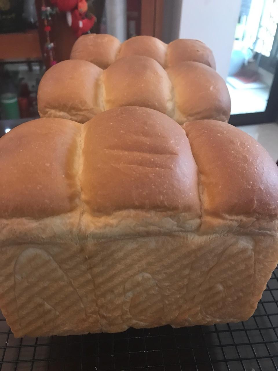 烫种牛奶吐司