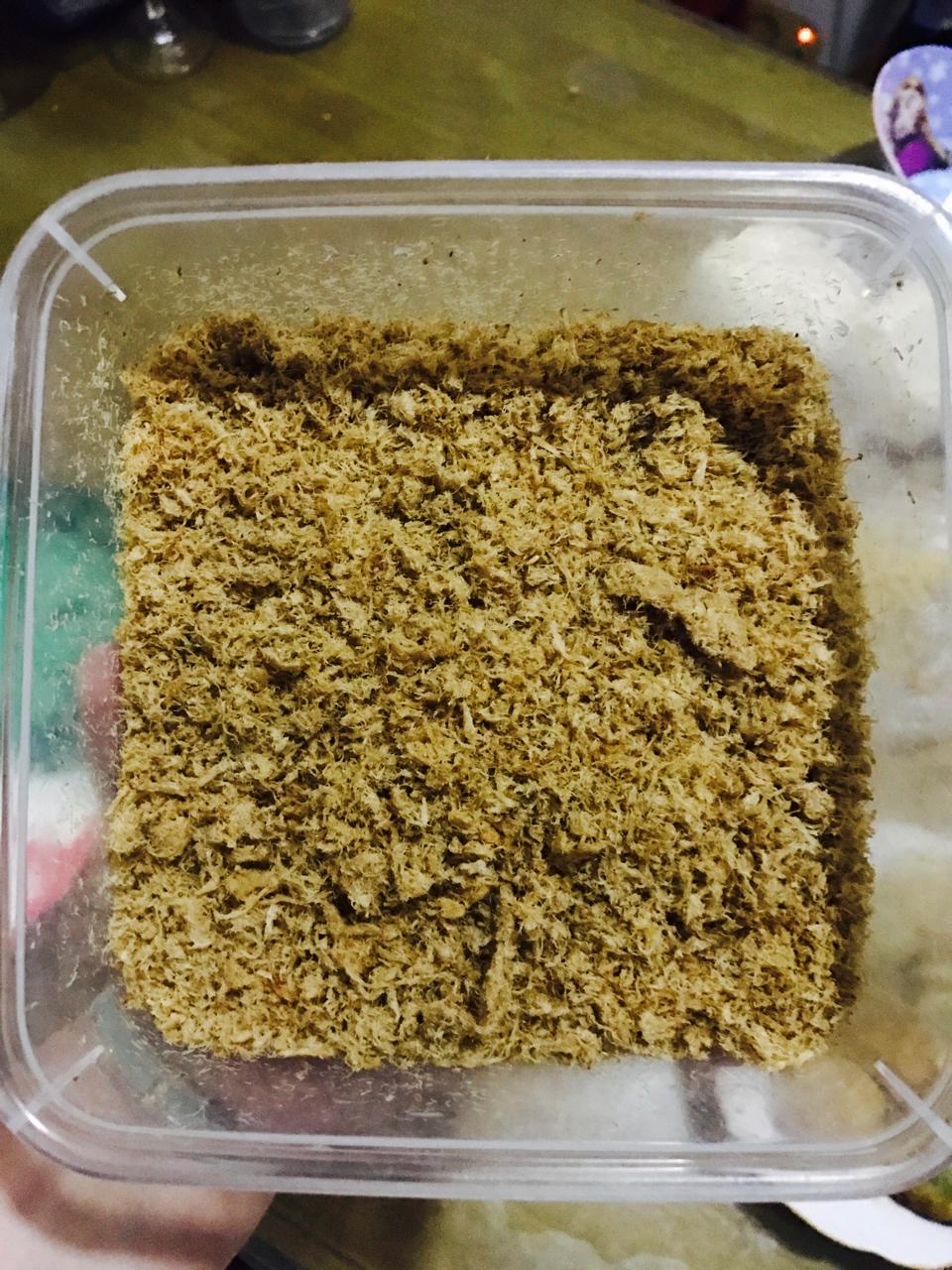 家庭自制肉松（非面包机版）