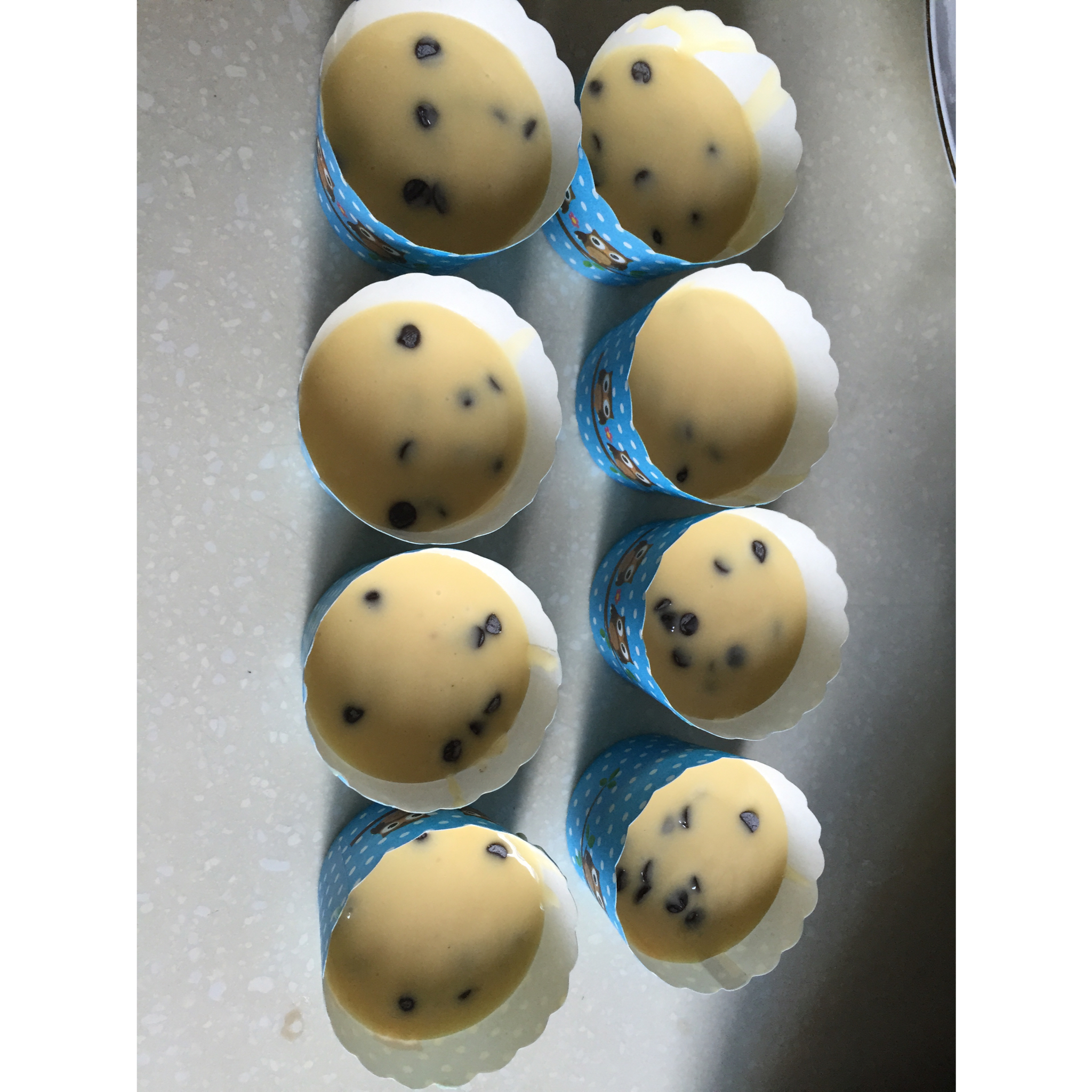 巧克力酥顶玛芬蛋糕 Choc Chip Muffins