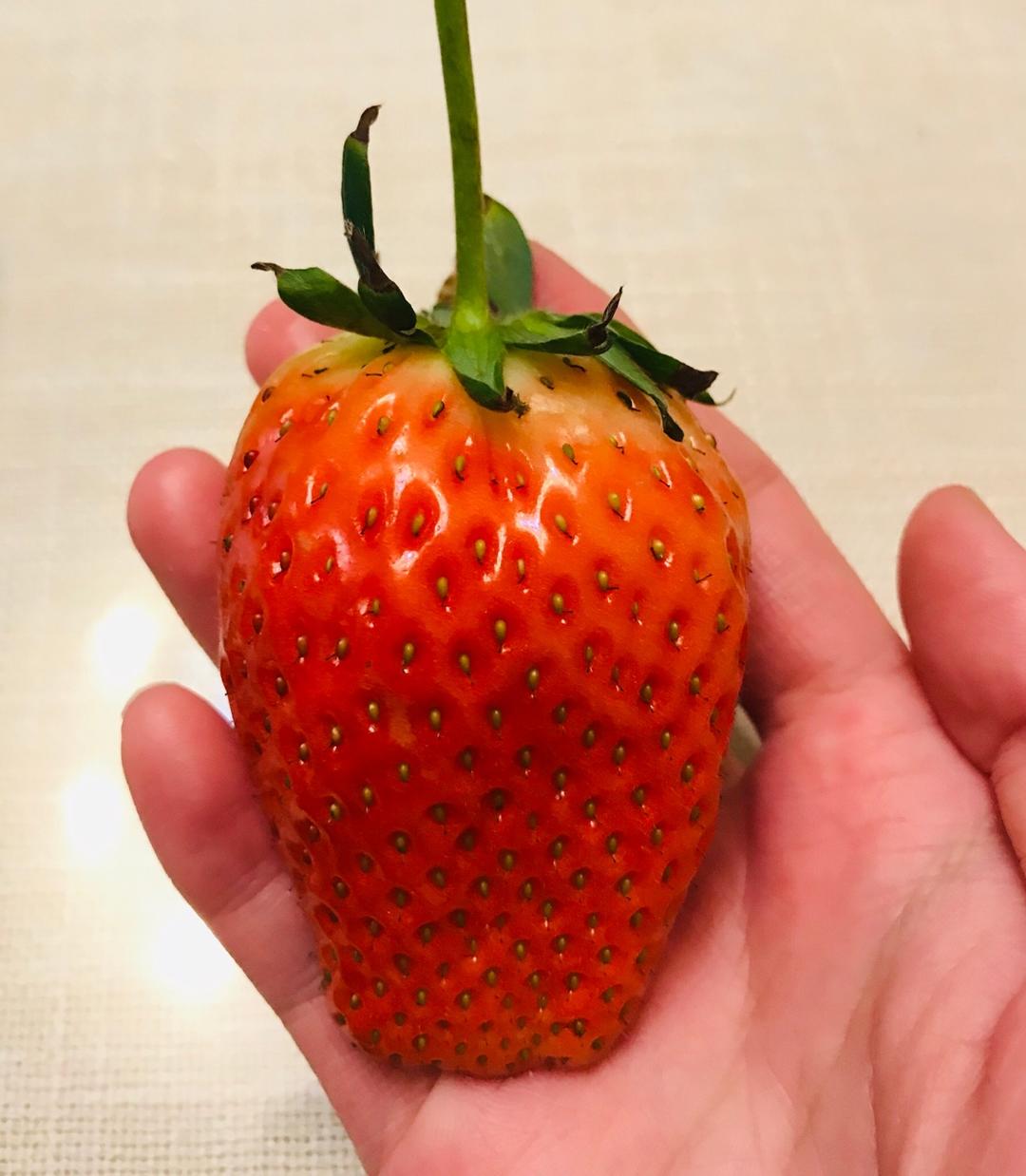 食在香港😄