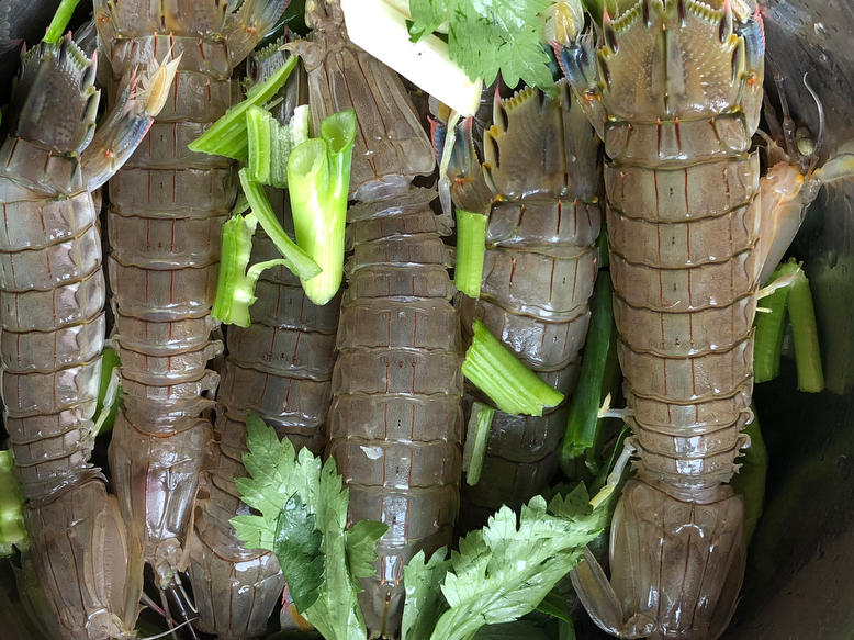 简易腌虾爬子