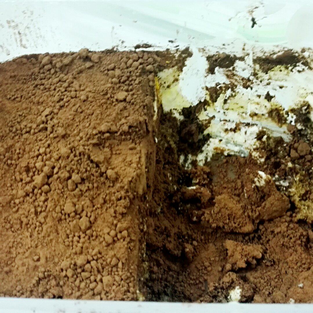 《Tinrry+》提拉米苏