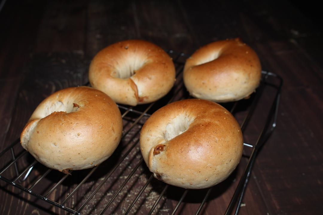 藤田千秋的无花果贝果