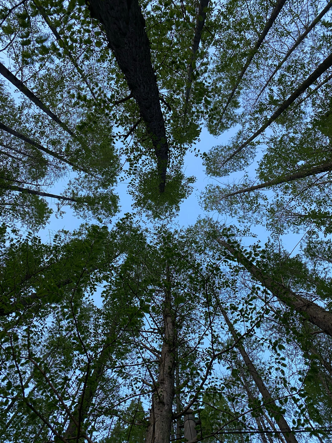 道一