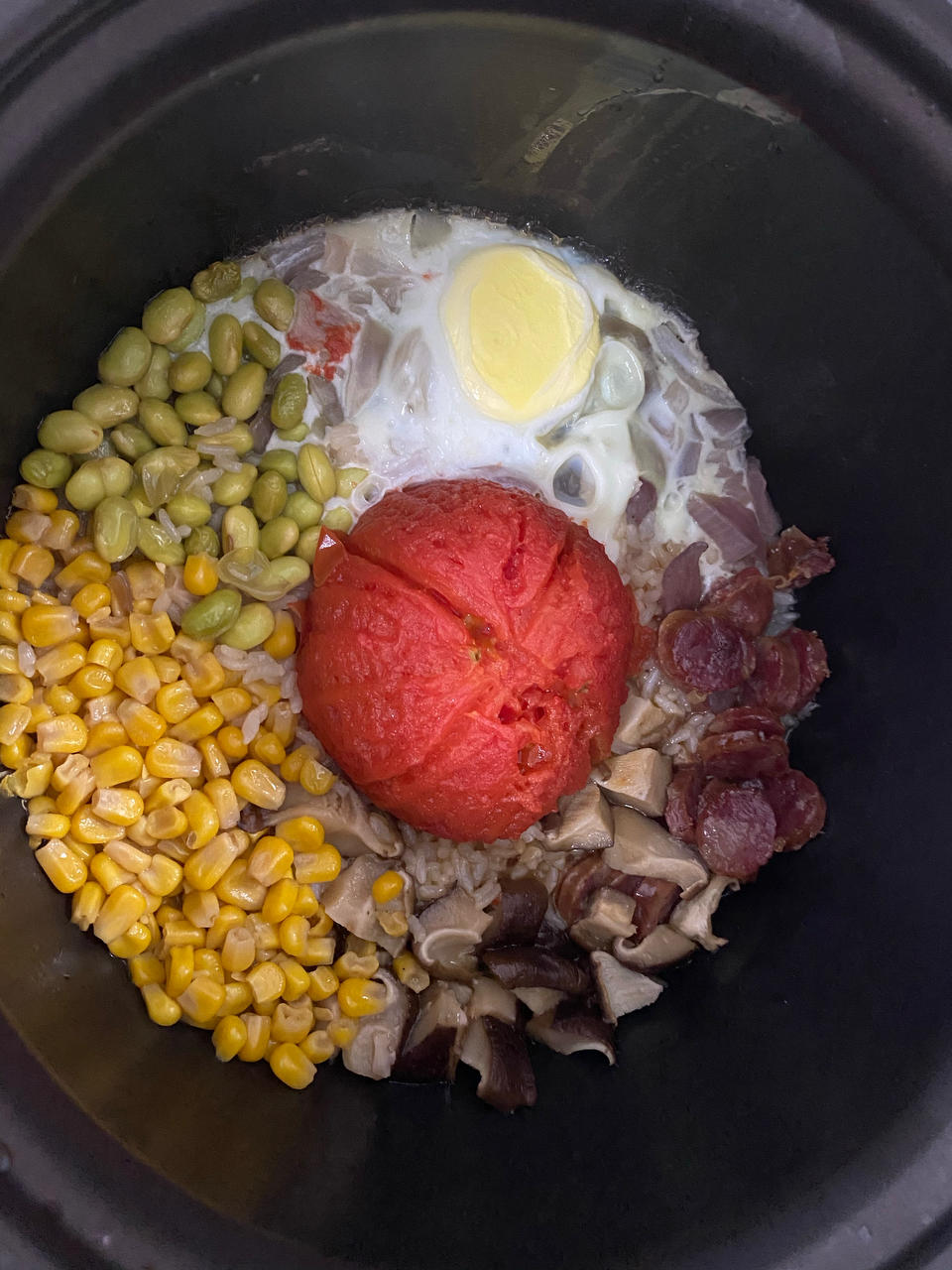 【一只番茄饭】