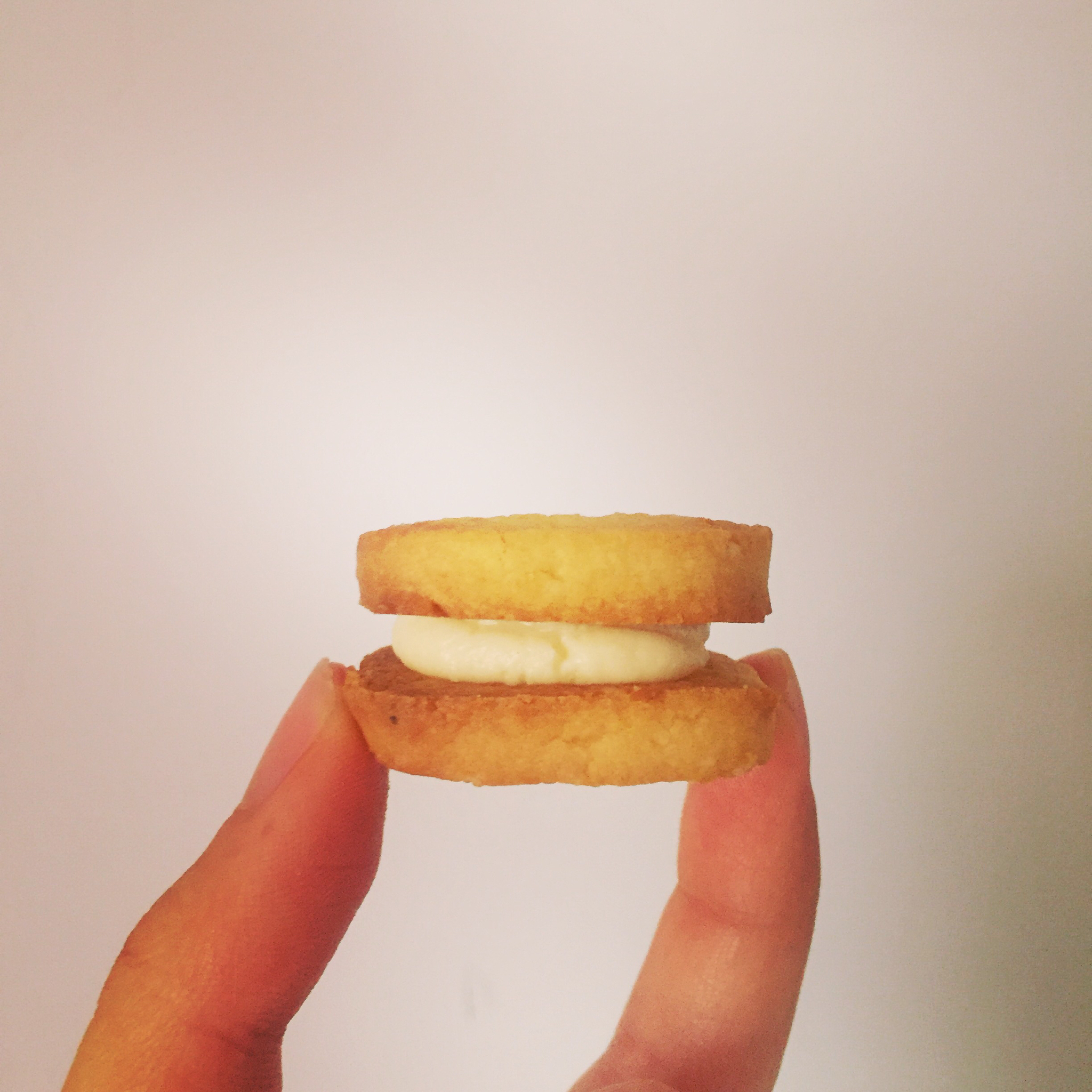 包崽大人做的乳酪夹心饼干