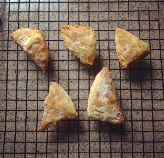 藤田千秋的【切达奶酪咸司康】