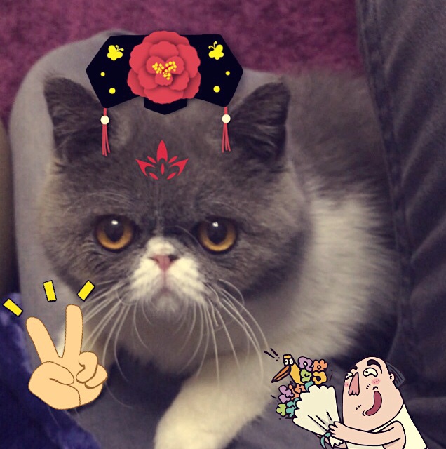 張小燕是個大胖紙