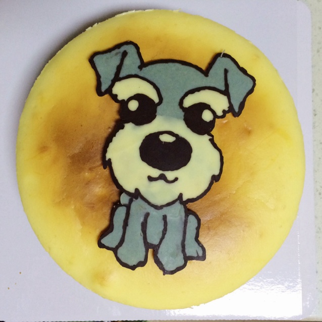 巧克力转印法做巧虎蛋糕