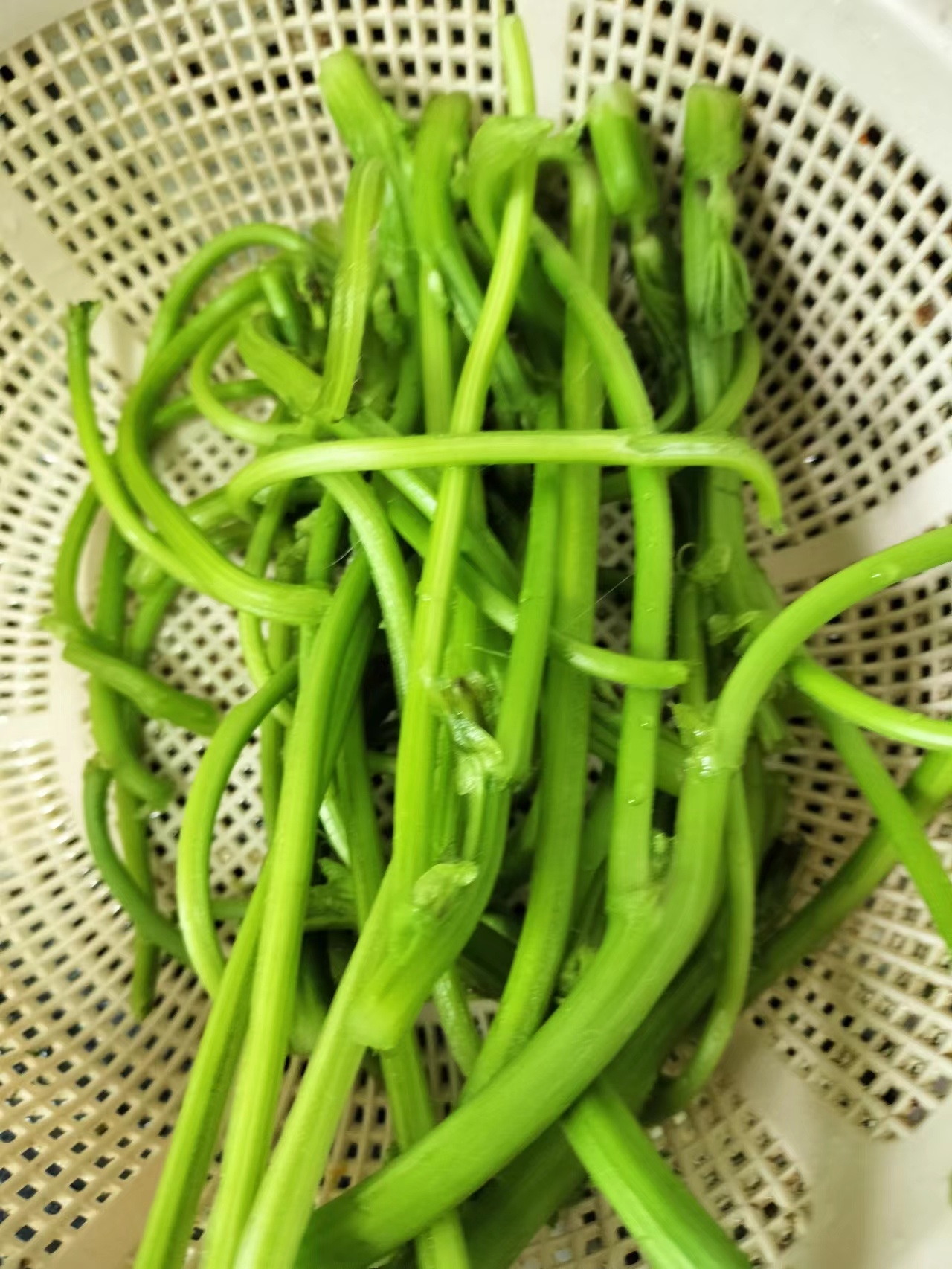 豆豉辣椒冬苋菜梗的做法 步骤1