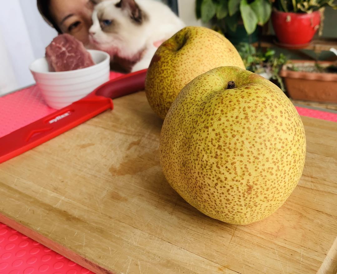 宠物猫饭水梨生牛肉的做法步骤图 依兰 Hx58 下厨房