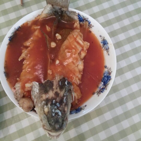松鼠鱼