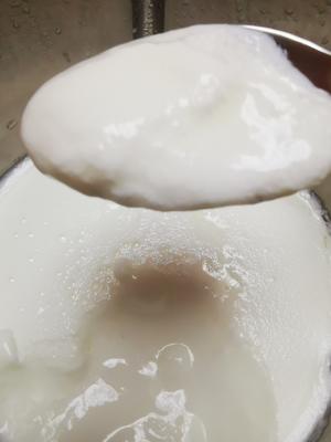 自制原味酸奶的做法 步骤5