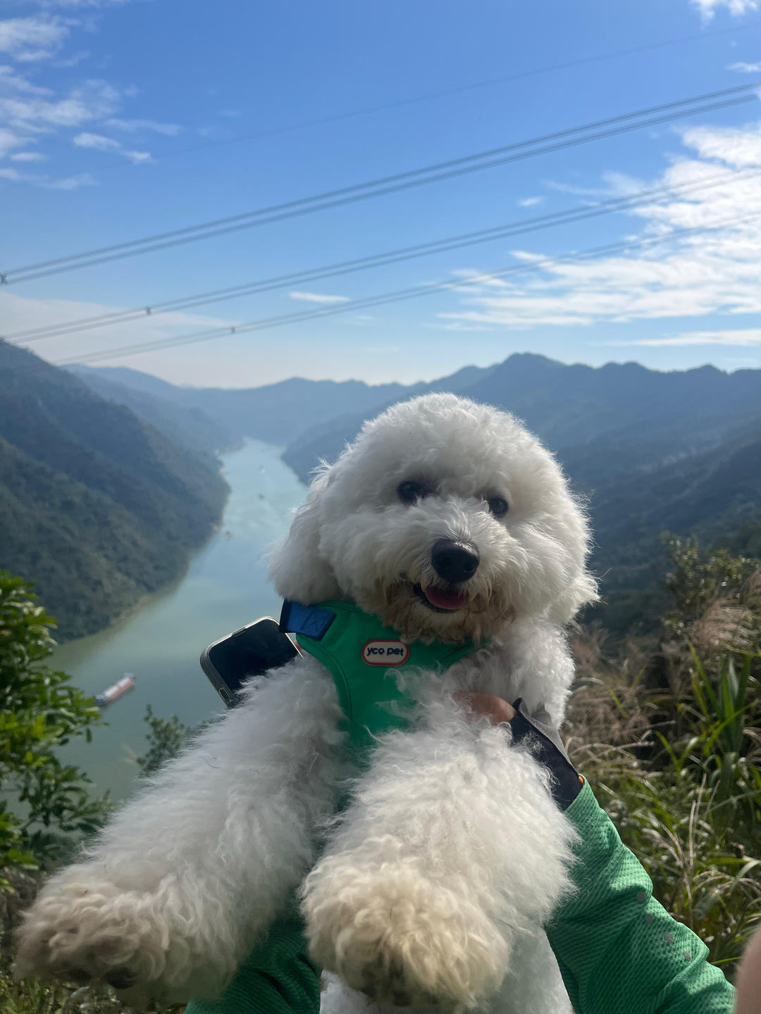 Minda爱美食
