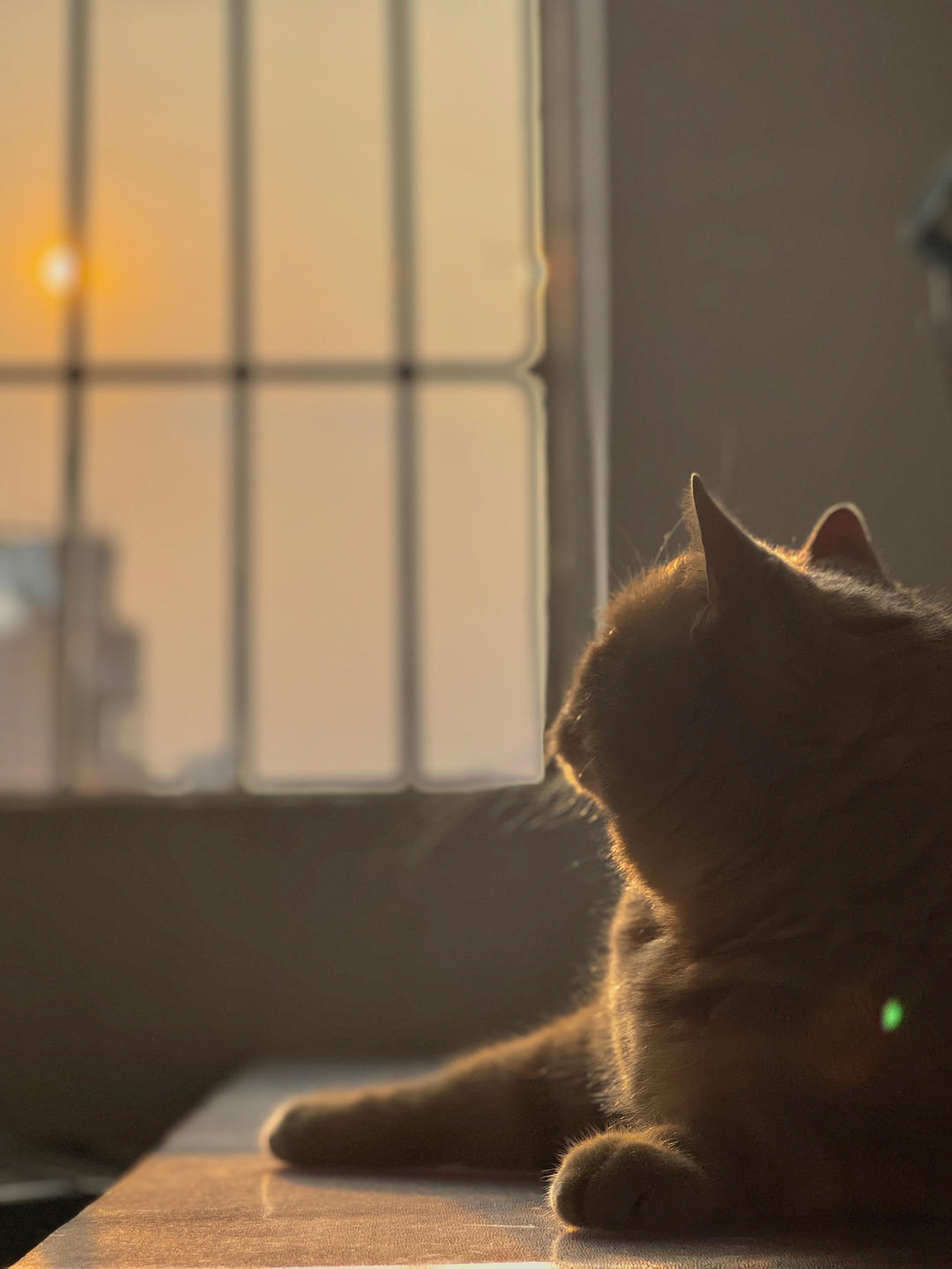 二点爱吃饭的厨房