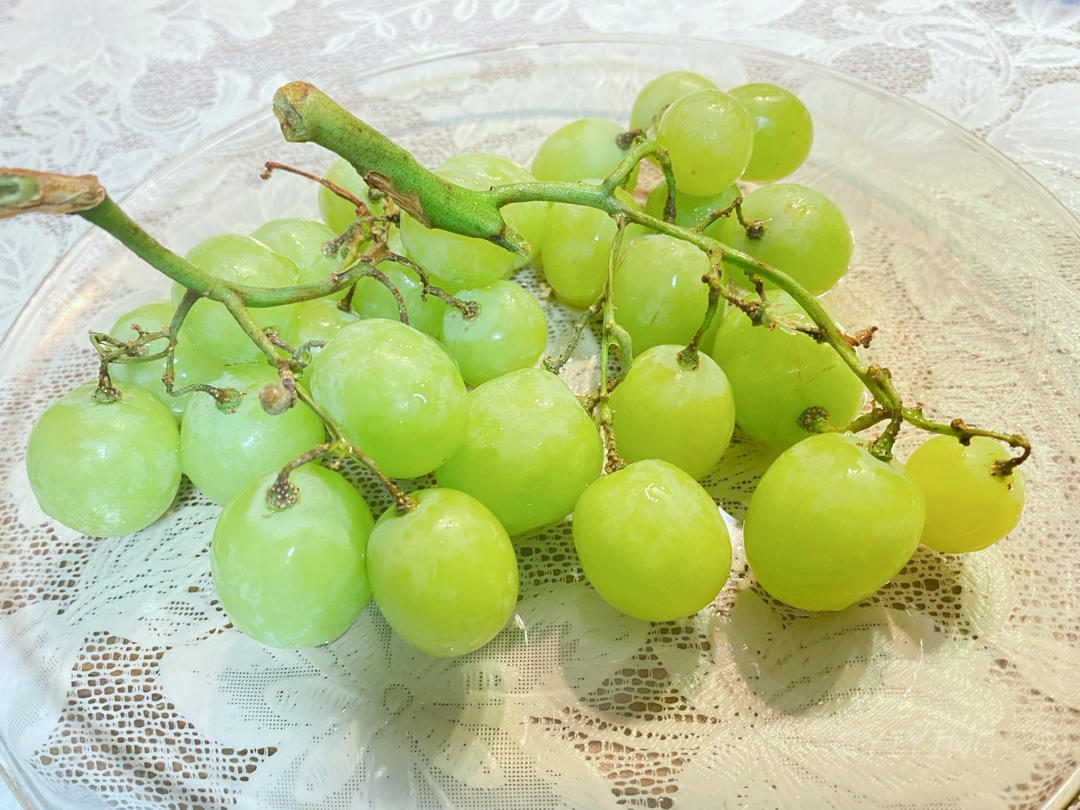 小璐的小生活