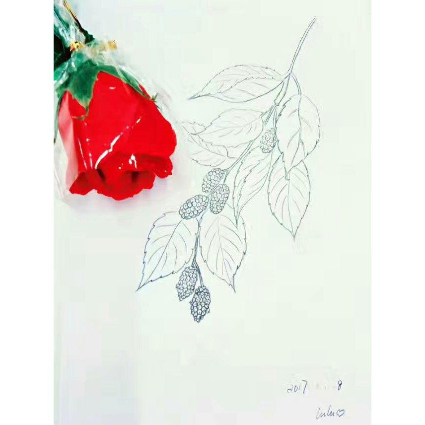 抢拌西葫芦
