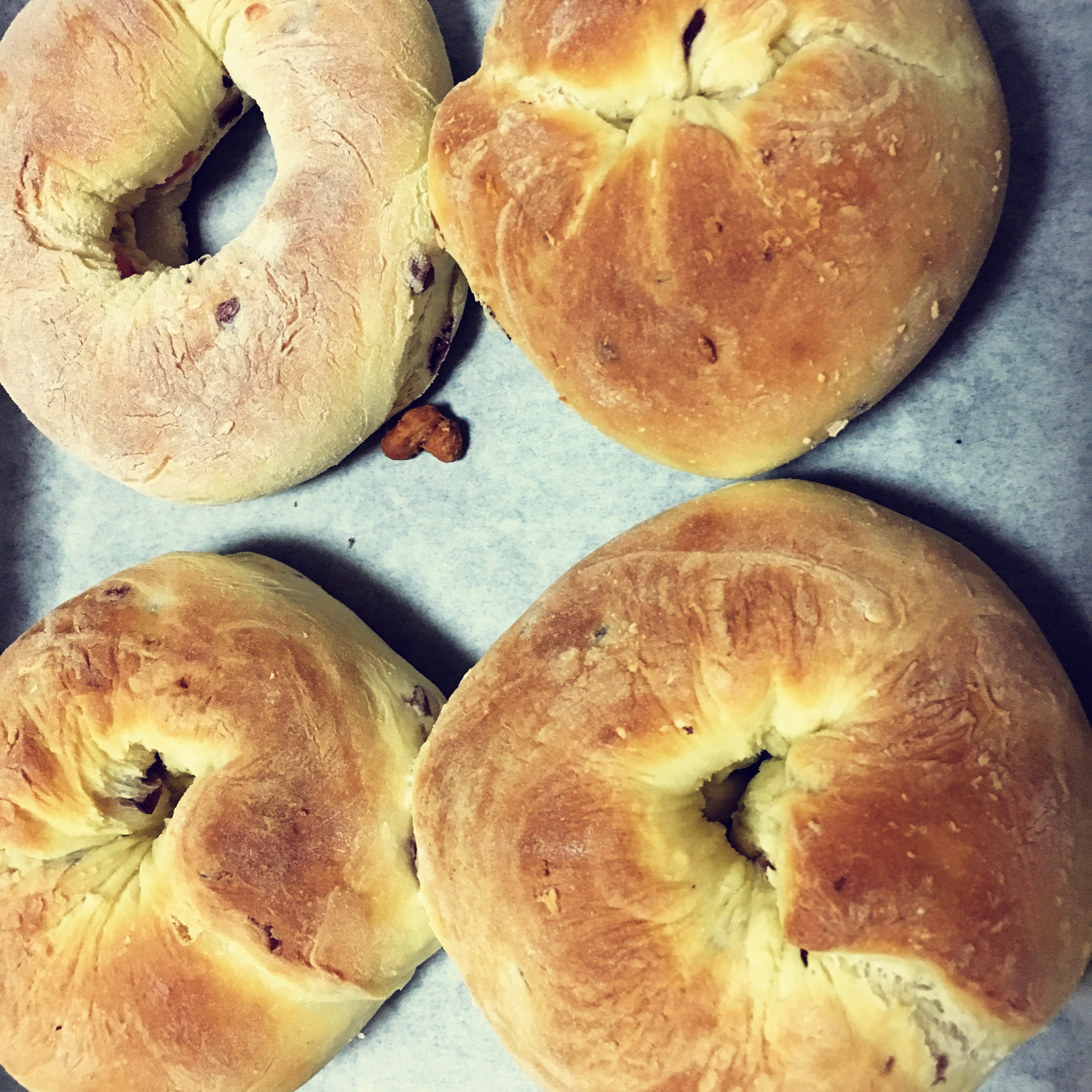 奶酪面包卷（君之配方）