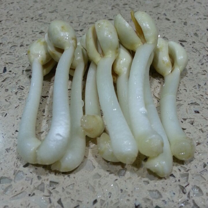 腊肉花生芽