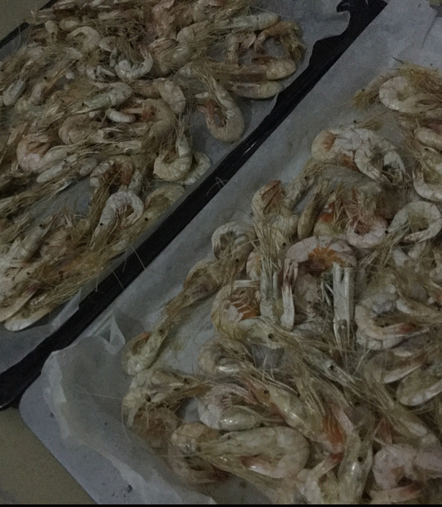 微波炉版 烤箱板 虾干