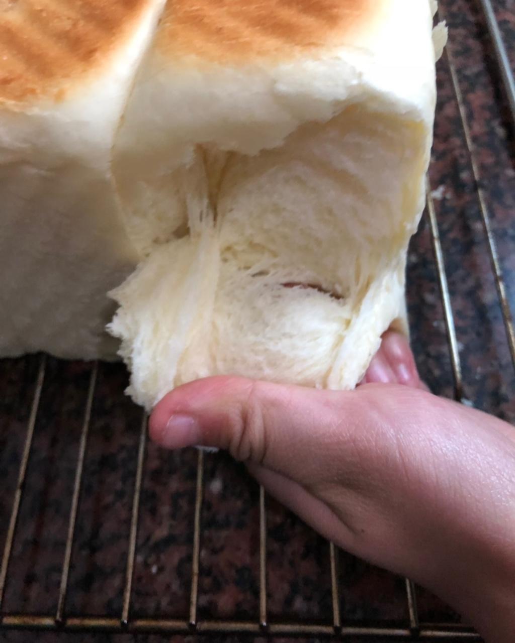 夺命软吐司(๑´ڡ`๑)超软拉丝极速方便的一次发酵吐司