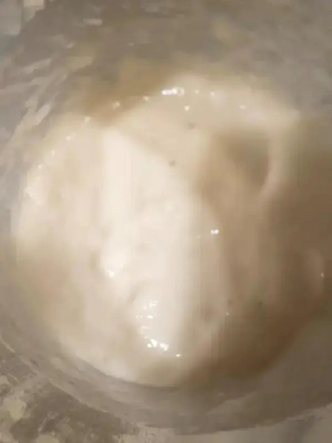 软软软软软面包子（老面包子！波兰种包子！）