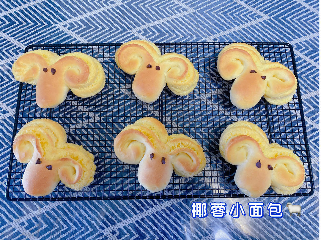 椰蓉小面包|🐏小绵羊|🐙小章鱼|可可爱爱|哄娃必备