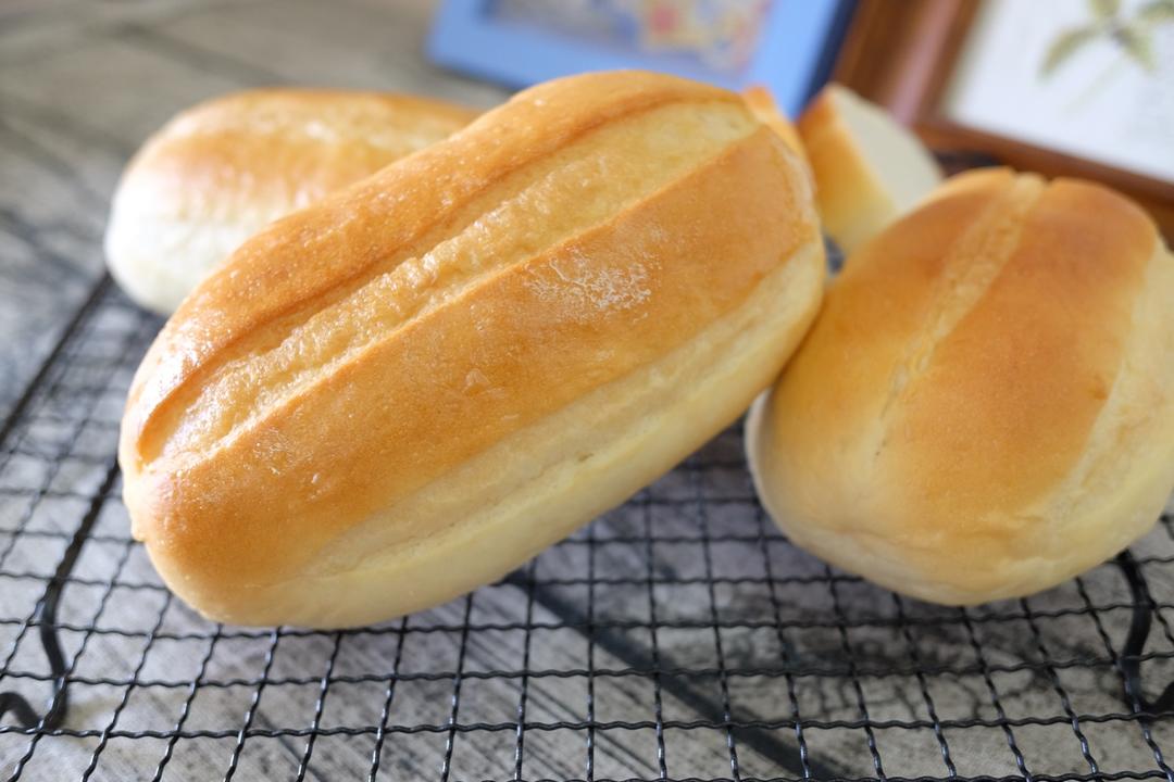 牛奶哈斯