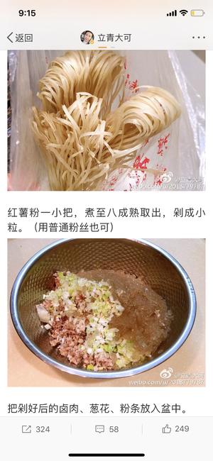 酸菜卤肉蒸饺/立青大可的做法 步骤3