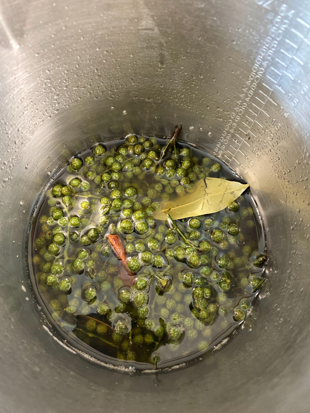 自制花椒油(鲜青花椒)