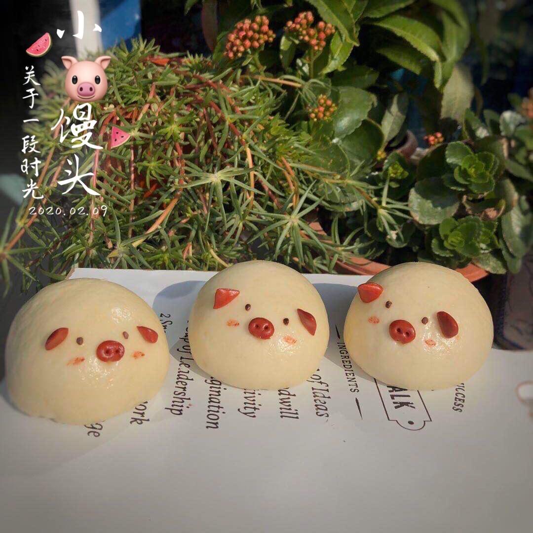 萌肉猪猪包