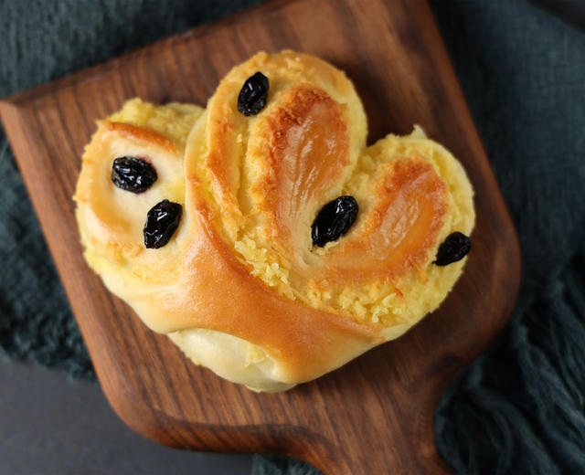 葡萄椰子 葡萄椰子