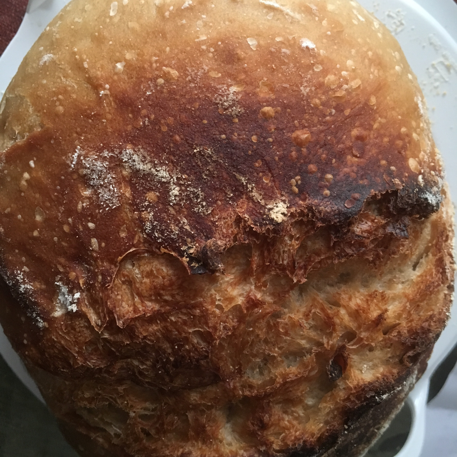【Ken Forkish】双次喂养天然酵种淡酸味欧包 Double-fed sweet levain bread