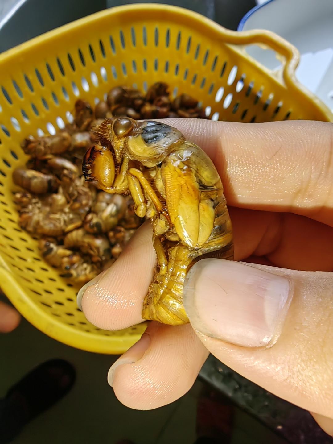 我的