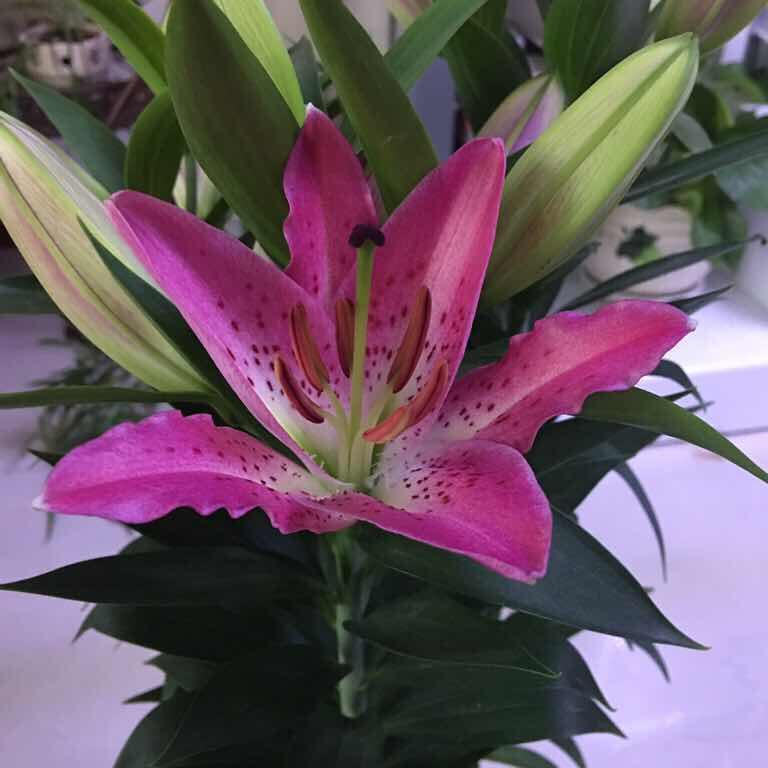 白开水麻辣烫的厨房