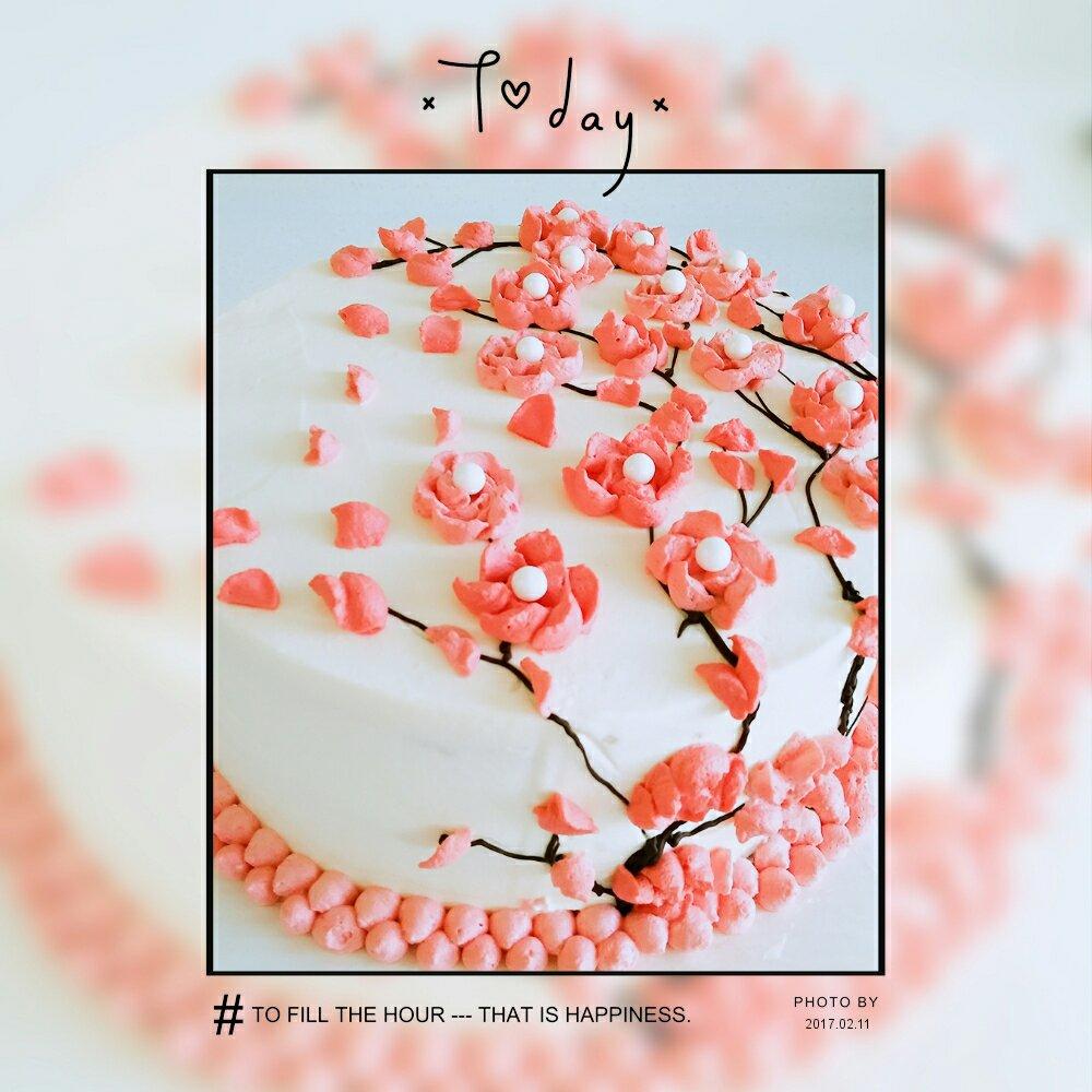 奶油霜装饰之紫皮书的梅花