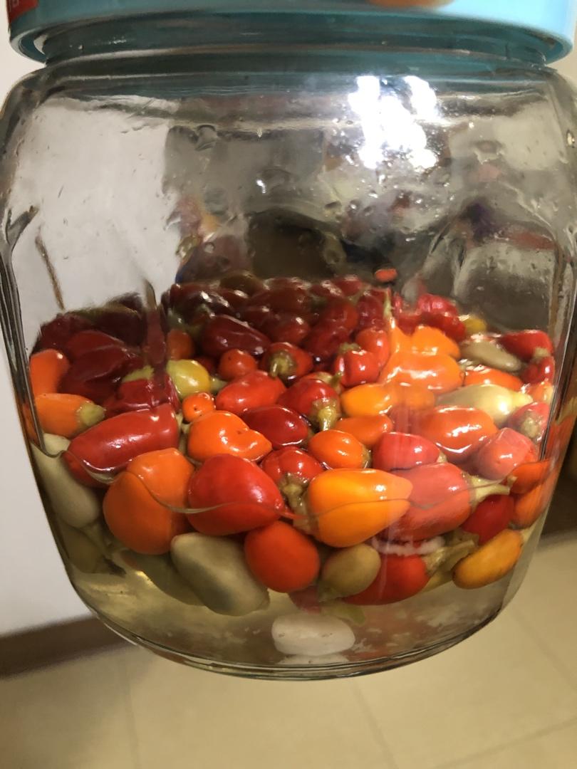 自制泡椒（腌小米椒）