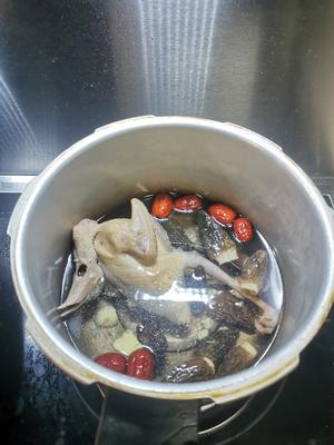 羊肚菌鸽子汤的做法 步骤4
