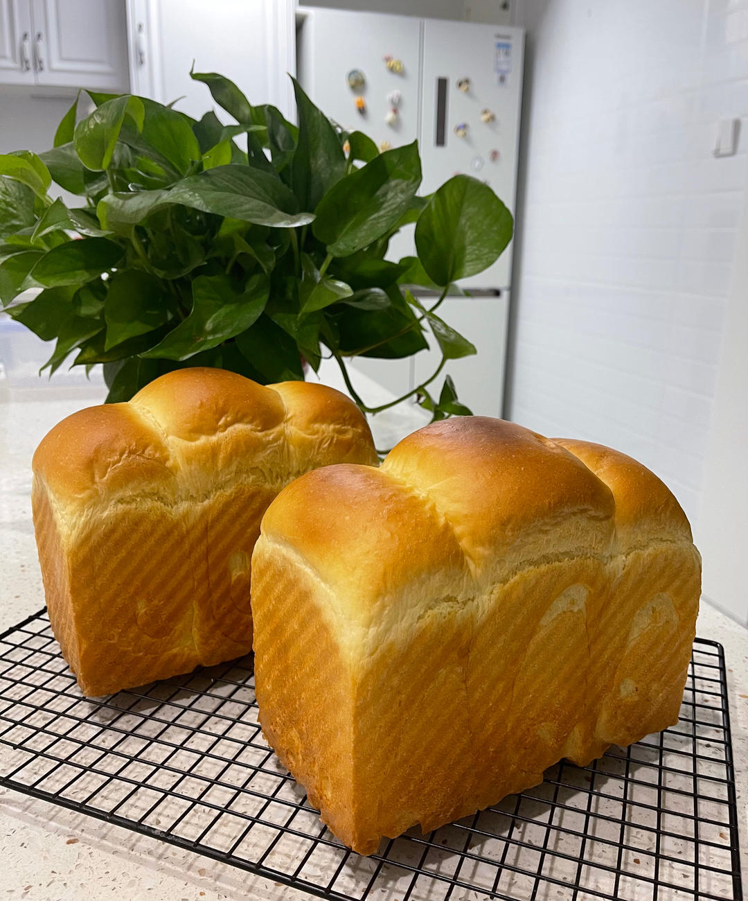 奶香纯粹的重料淡奶油吐司