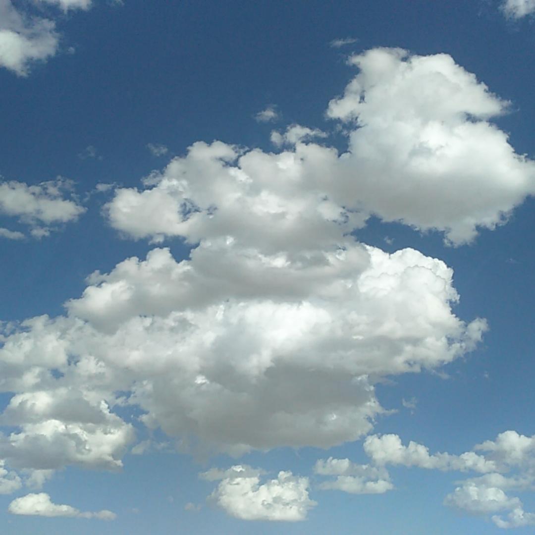 爱做菜的小不点儿