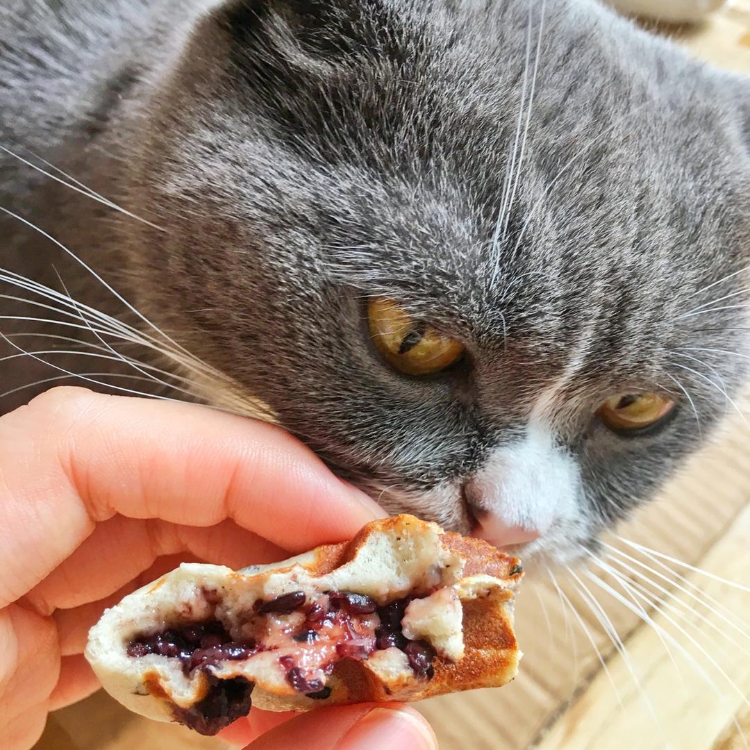 无油低糖华夫饼（酵母版）