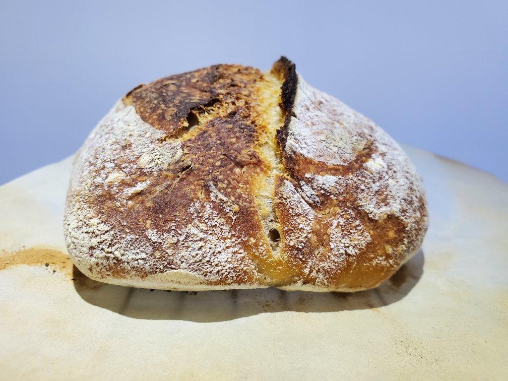 【硬欧笔记】GirlMeetsBread「Sourdough Notebook」