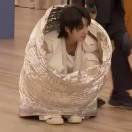 第八颗星星8star