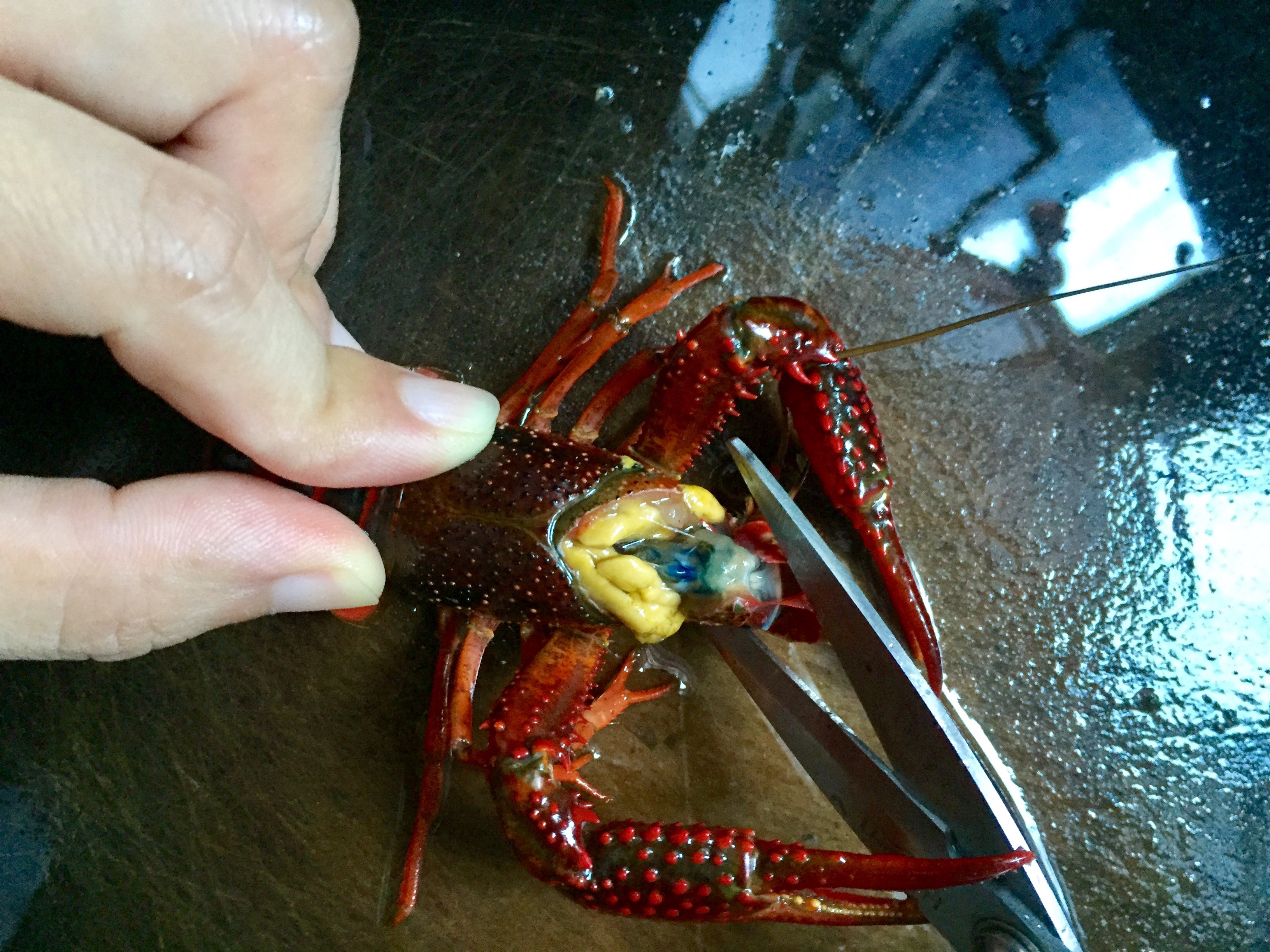 一剪一翘，轻松清理小龙虾虾头的做法 步骤5